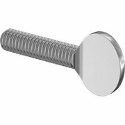 BSC PREFERRED Stainless Steel Spade-Head Thumb Screw 5/16-18 Thread Size 1-1/4 Long, 5PK 91745A585